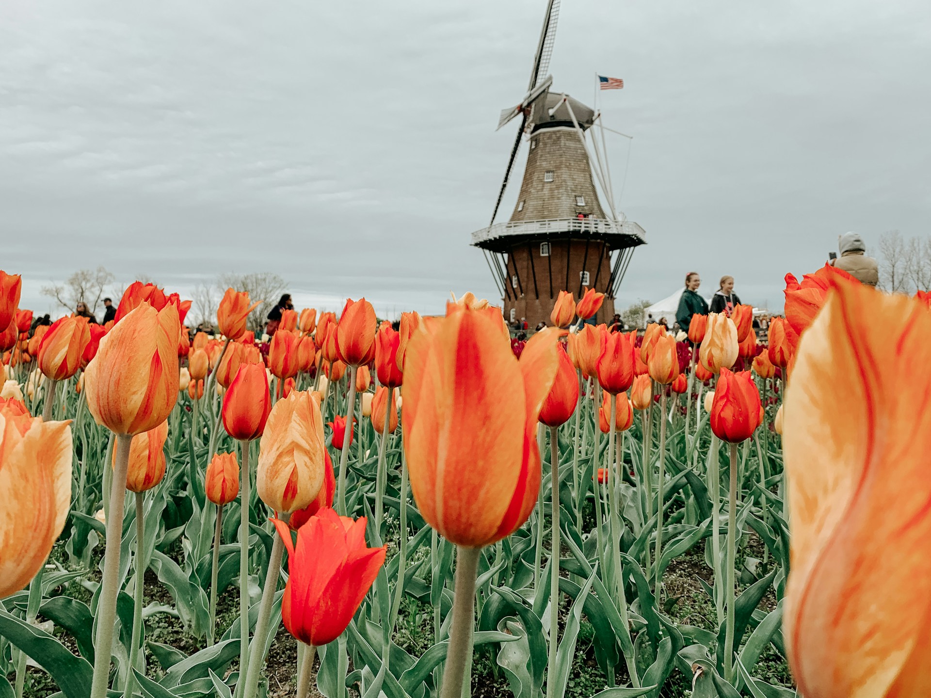 Derde foto stad Weerselo
