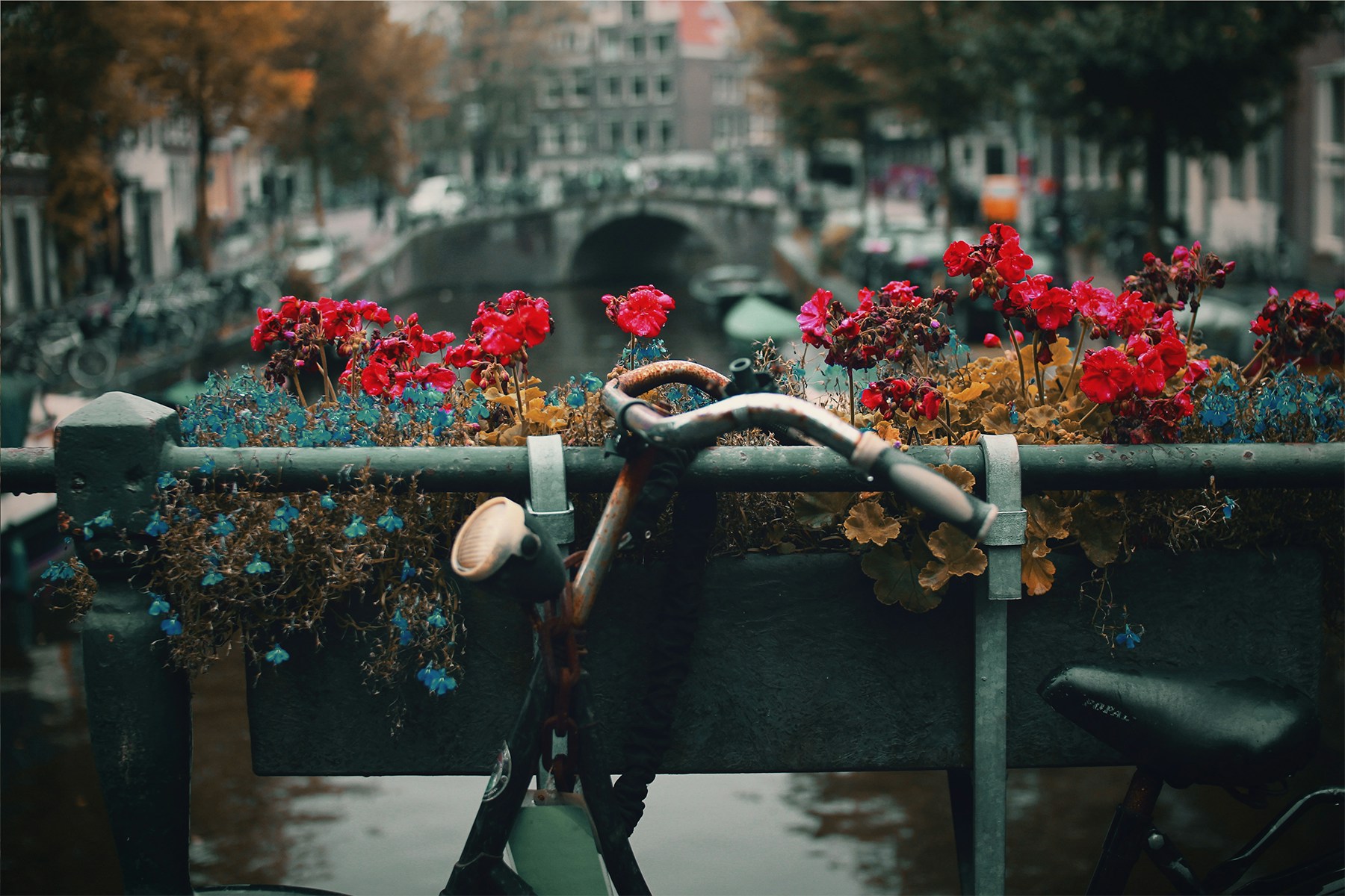 Derde foto stad Maastricht