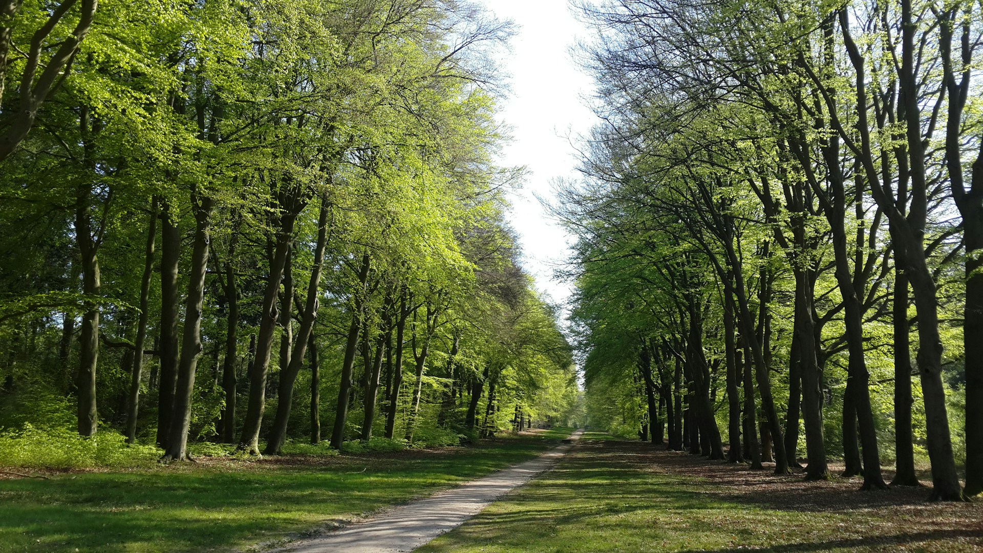 Mooie foto van Weerselo